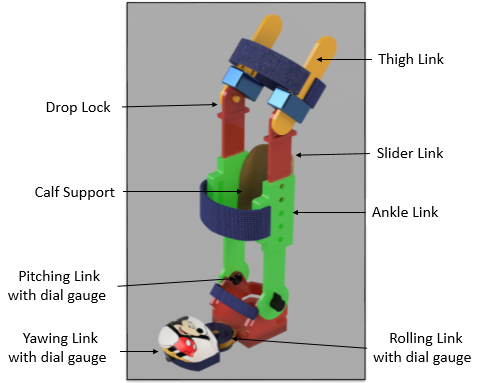 JCF Orthosis with 6 Degrees of Freedom